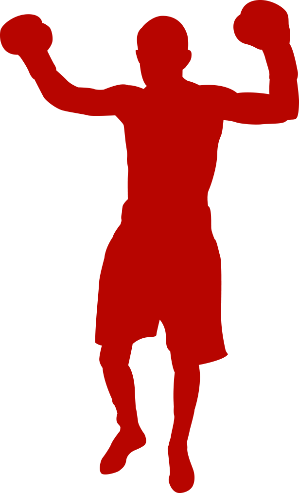Combat Sports