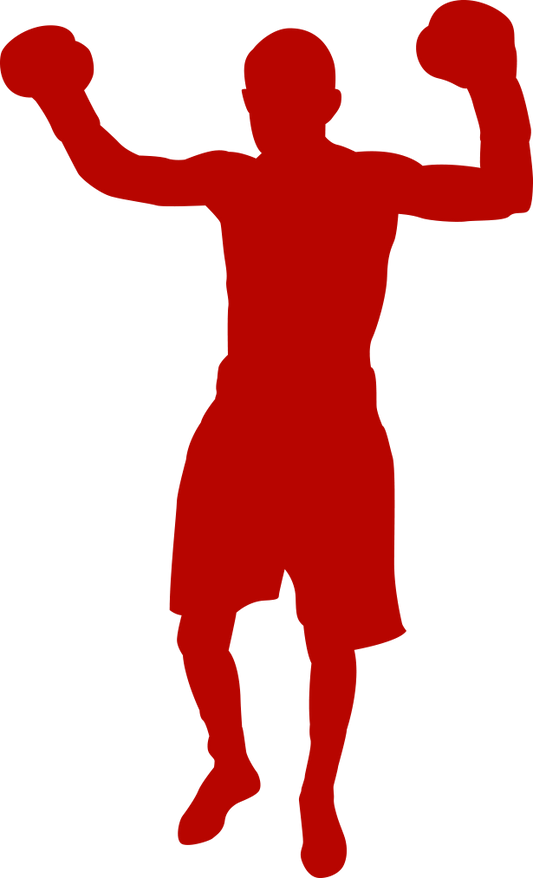 Combat Sports